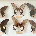 Photo n° 6 de l'avis de Esther.a fait le 17/01/2024 à 09:41 pour Maison Jullian à Béziers