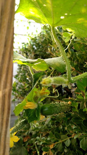 Golf Club «Westpark Golf Club», reviews and photos, 59 Clubhouse Dr SW, Leesburg, VA 20175, USA