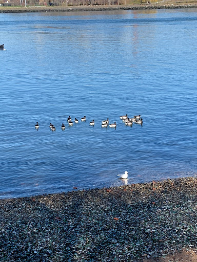 Park «Astoria Park», reviews and photos, 19 19th St, Queens, NY 11105, USA