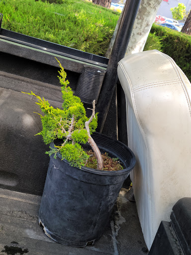 Hardware Store «Do it Center», reviews and photos, 3775 Thousand Oaks Blvd, Westlake Village, CA 91362, USA