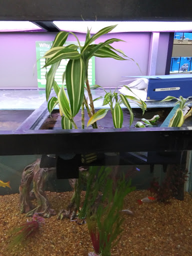 Pet Supply Store «Petco Animal Supplies», reviews and photos, 1704 US Hwy 27 S, Sebring, FL 33870, USA