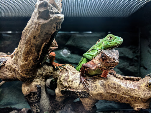 Pet Supply Store «Petco Animal Supplies», reviews and photos, 45205 Worth Ave, California, MD 20619, USA