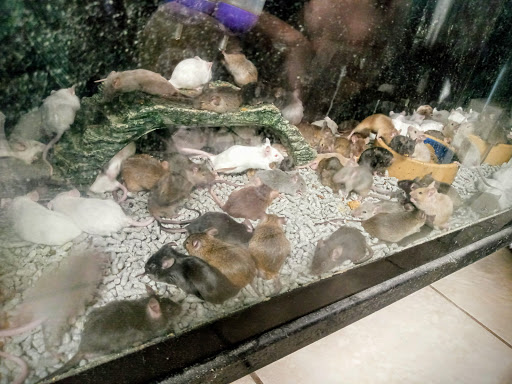 Tropical Fish Store «Delta Pet Center LLC», reviews and photos, 1370 Corporate Square Blvd, Slidell, LA 70458, USA