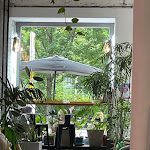 Photo n°1 de l'avis de Paul.o fait le 30/01/2020 à 11:15 sur le  Funk You - Natural Food à Berlin