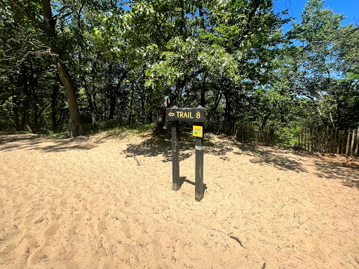 The 3 Dune Challenge