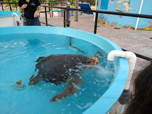 Park «Juno Dunes Natural Area», reviews and photos, 14501 US-1, Juno Beach, FL 33408, USA