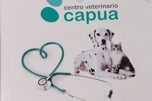 Centro Veterinario Capua SL image