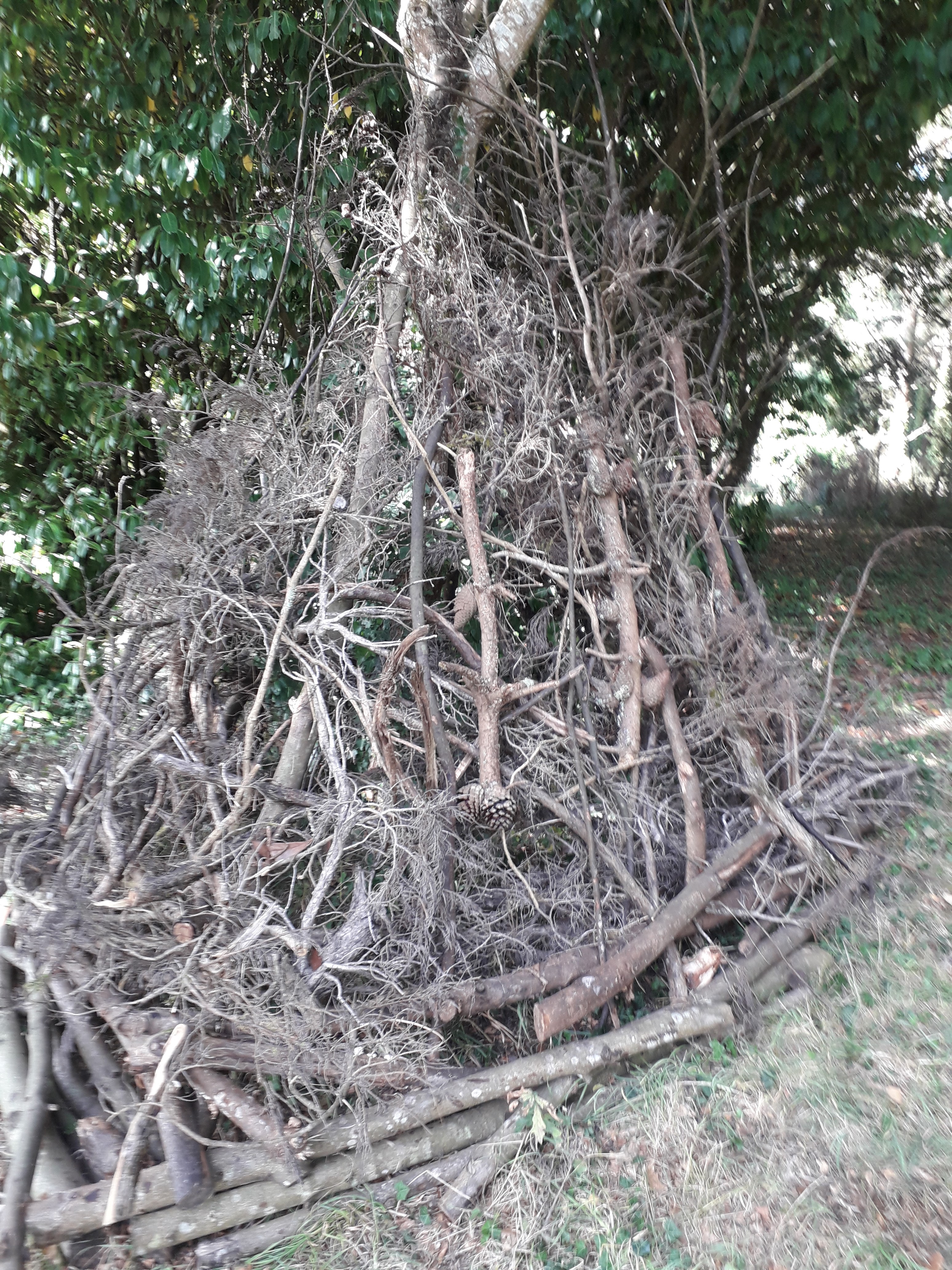 Photo n° 2 de l'avis de Vanessa.o fait le 11/08/2018 à 11:07