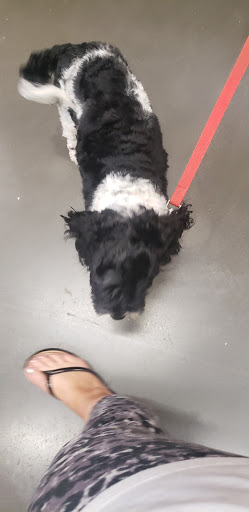 Home Improvement Store «The Home Depot», reviews and photos, 350 N Orchard Ave, Ukiah, CA 95482, USA