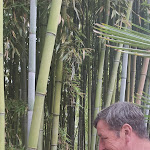 Photo n°6 de l'avis de Petra.a fait le 17/07/2021 à 14:55 sur le  Hotel Villa Ciconia à Orvieto