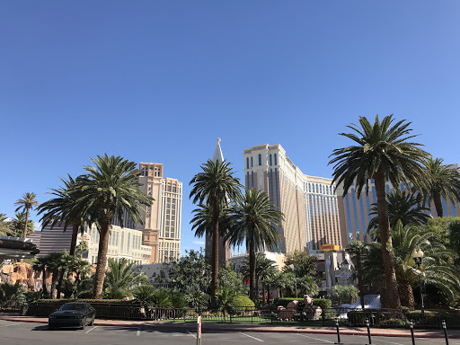 Hotel «The Mirage», reviews and photos, 3400 S Las Vegas Blvd, Las Vegas, NV 89109, USA