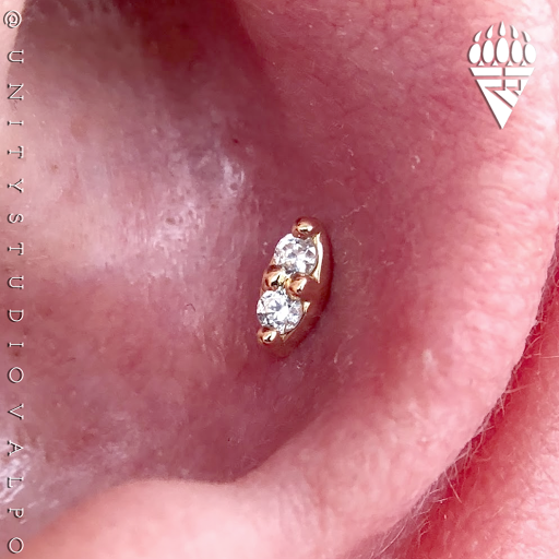 Explore hen tattoo ideas, creative tattoo ideas in Valparaiso, available at Unity Studio