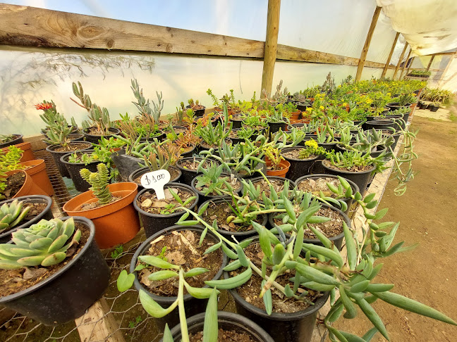 Horarios de Vivero Juanybel