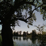 Photo n°23 de l'avis de 4.e fait le 26/12/2017 à 18:51 sur le  Seehotel Europa à Schwanau