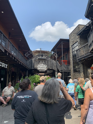 Tourist Attraction «Redneck Comedy Bus Tour», reviews and photos, 4117 Hillsboro Pike #103, Nashville, TN 37215, USA