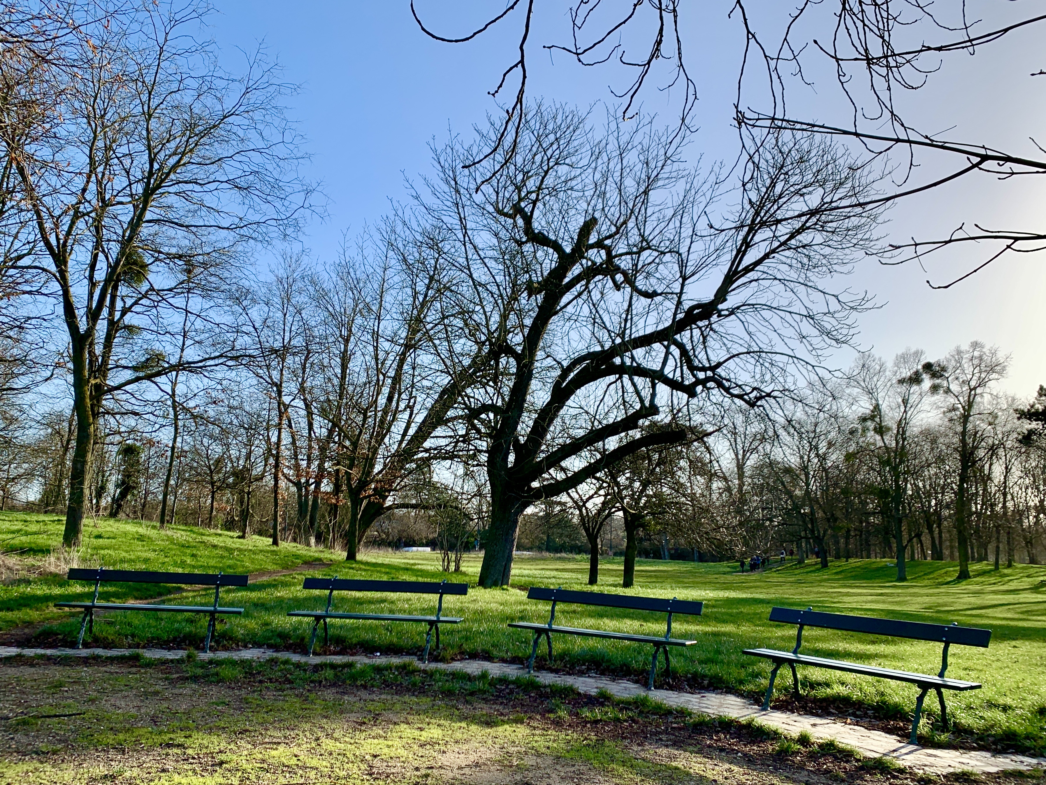Photo n° 8 de l'avis de Agnès. fait le 10/02/2022 à 08:51