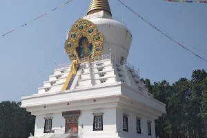 Tashi Kyil Monastery image