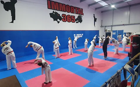 Immortal 365 Family Martial Arts & Fitness Academy image