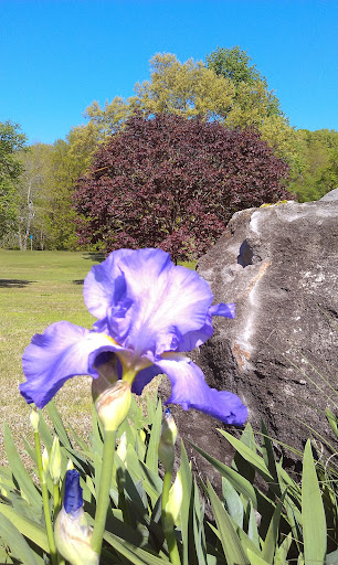 Golf Course «Swan Lake Golf Course», reviews and photos, 581 Dunbar Cave Rd, Clarksville, TN 37043, USA