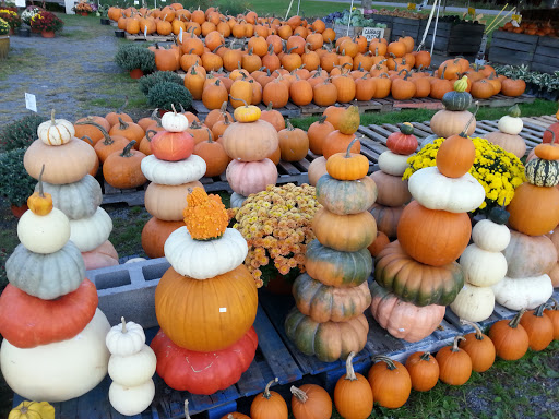 Produce Market «The Bigsby Market», reviews and photos, 1418 Dryden Rd, Freeville, NY 13068, USA