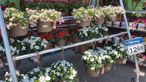 Discount Store «Walmart», reviews and photos, 255 W Main St, Avon, CT 06001, USA