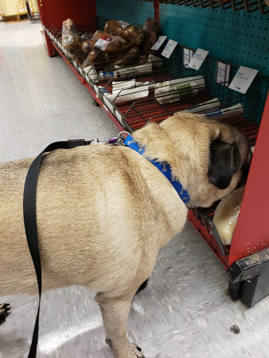 Pet Supply Store «Petco Animal Supplies», reviews and photos, 6672 Lonetree Blvd, Rocklin, CA 95765, USA