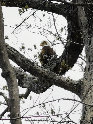 Park «Government Island», reviews and photos, 191 Coal Landing Road, Stafford, VA 22554, USA