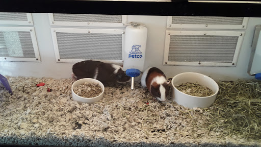 Pet Supply Store «Petco Animal Supplies», reviews and photos, 20 Stockwell Dr, Avon, MA 02322, USA