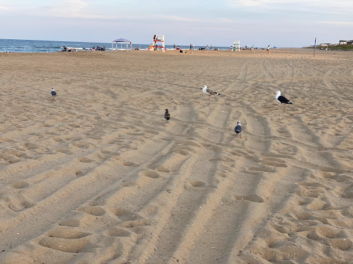 Grocery Store «Sandbridge Seaside Market», reviews and photos, 209 Sandbridge Rd, Virginia Beach, VA 23456, USA