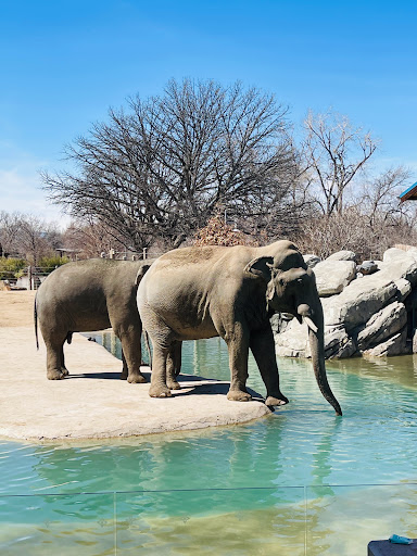 Museum «Tropical Discovery», reviews and photos, 2900 E 23rd Ave, Denver, CO 80205, USA