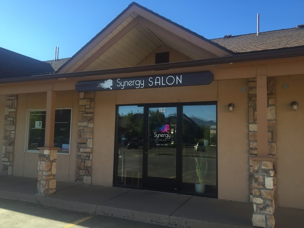 Synergy Salon 81147