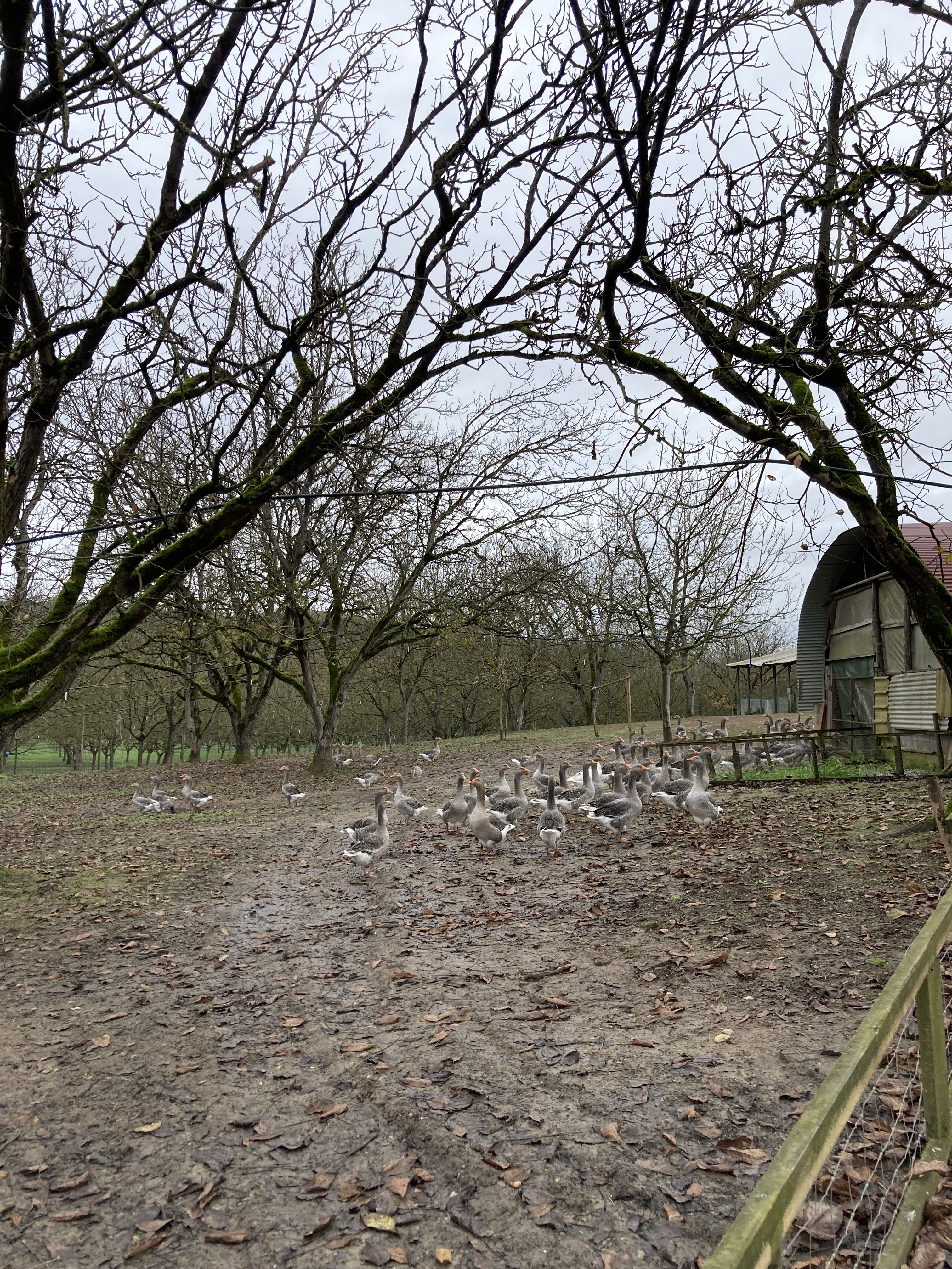 Photo n° 2 de l'avis de Léna.o fait le 20/02/2024 à 13:15