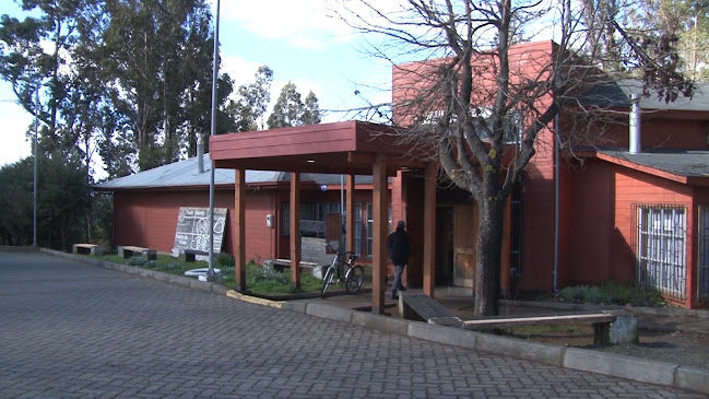 Opiniones de Museo Histórico Mapuche en Purén - Museo