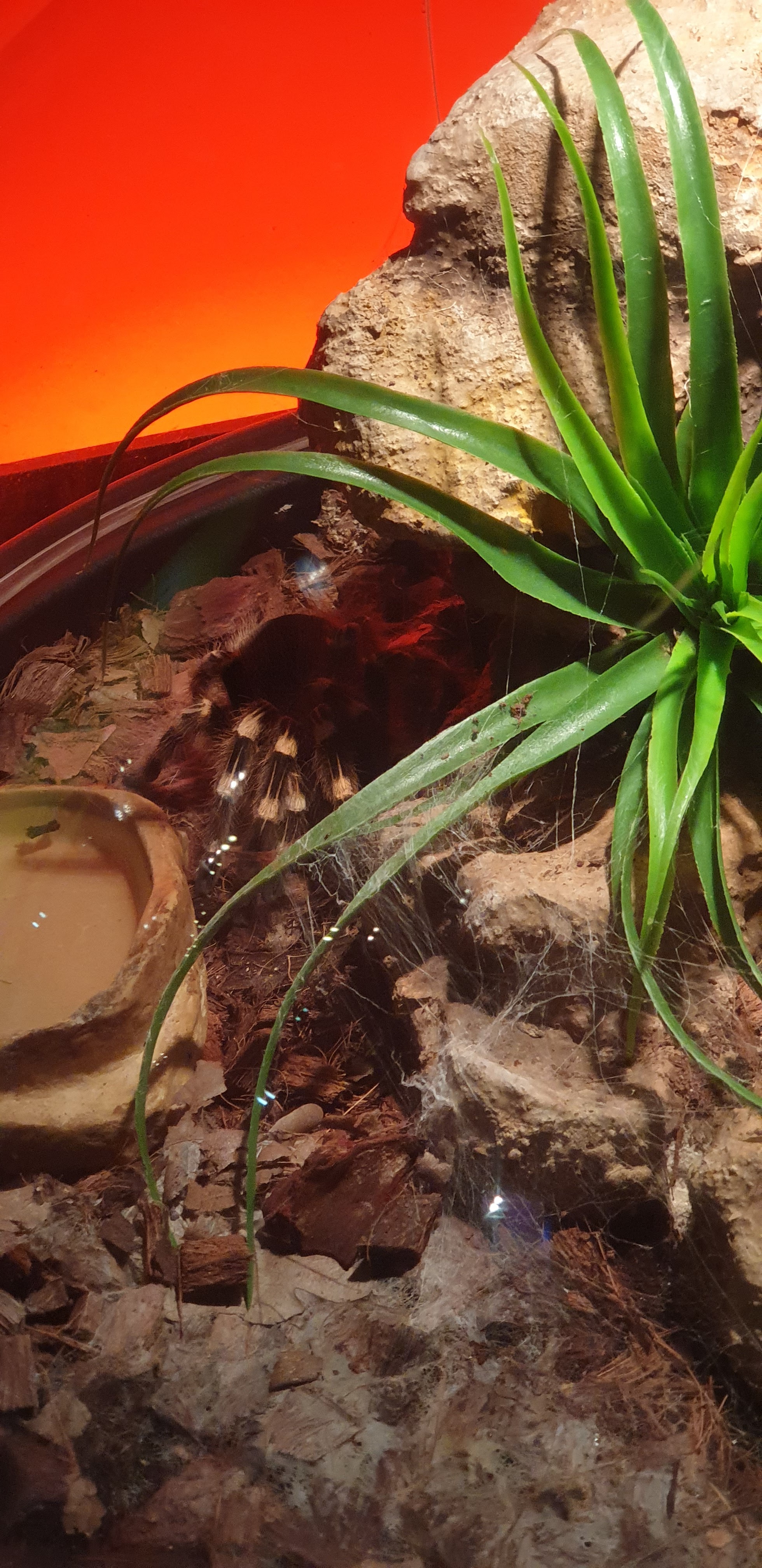 Photo n° 23 de l'avis de Hugo.g fait le 28/06/2019 à 06:35