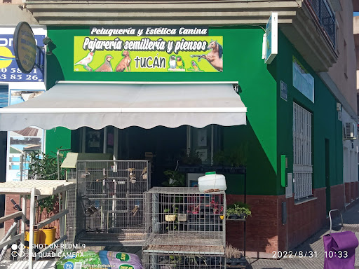 Pajareria tucan - Punta Umbría