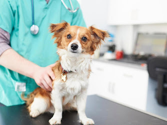 Victoria Veterinary Clinic - Bristol