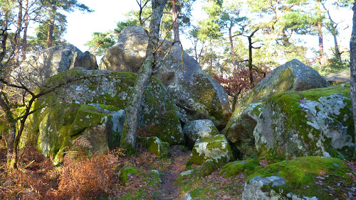 Centre Pédagogique Forestier De Fontainebleau à Fontainebleau