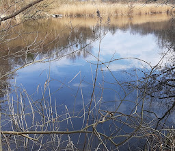 Vossenpott photo