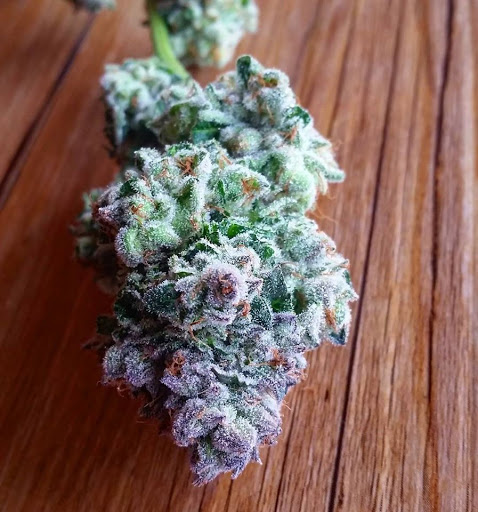 Homeopathic Pharmacy «Kind Pain Management Inc.», reviews and photos, 2636 Youngfield St, Lakewood, CO 80215, USA