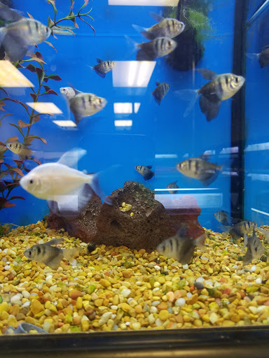 Pet Supply Store «Petco», reviews and photos, 149 Gravois Bluffs Plaza Dr, Fenton, MO 63026, USA