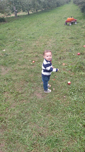 Winery «Apple Barn Orchard & Winery», reviews and photos, W6384 Sugar Creek Rd, Elkhorn, WI 53121, USA