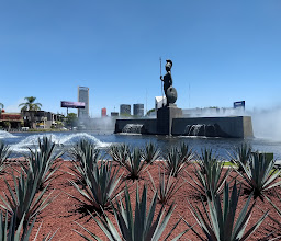 Minerva Roundabout photo