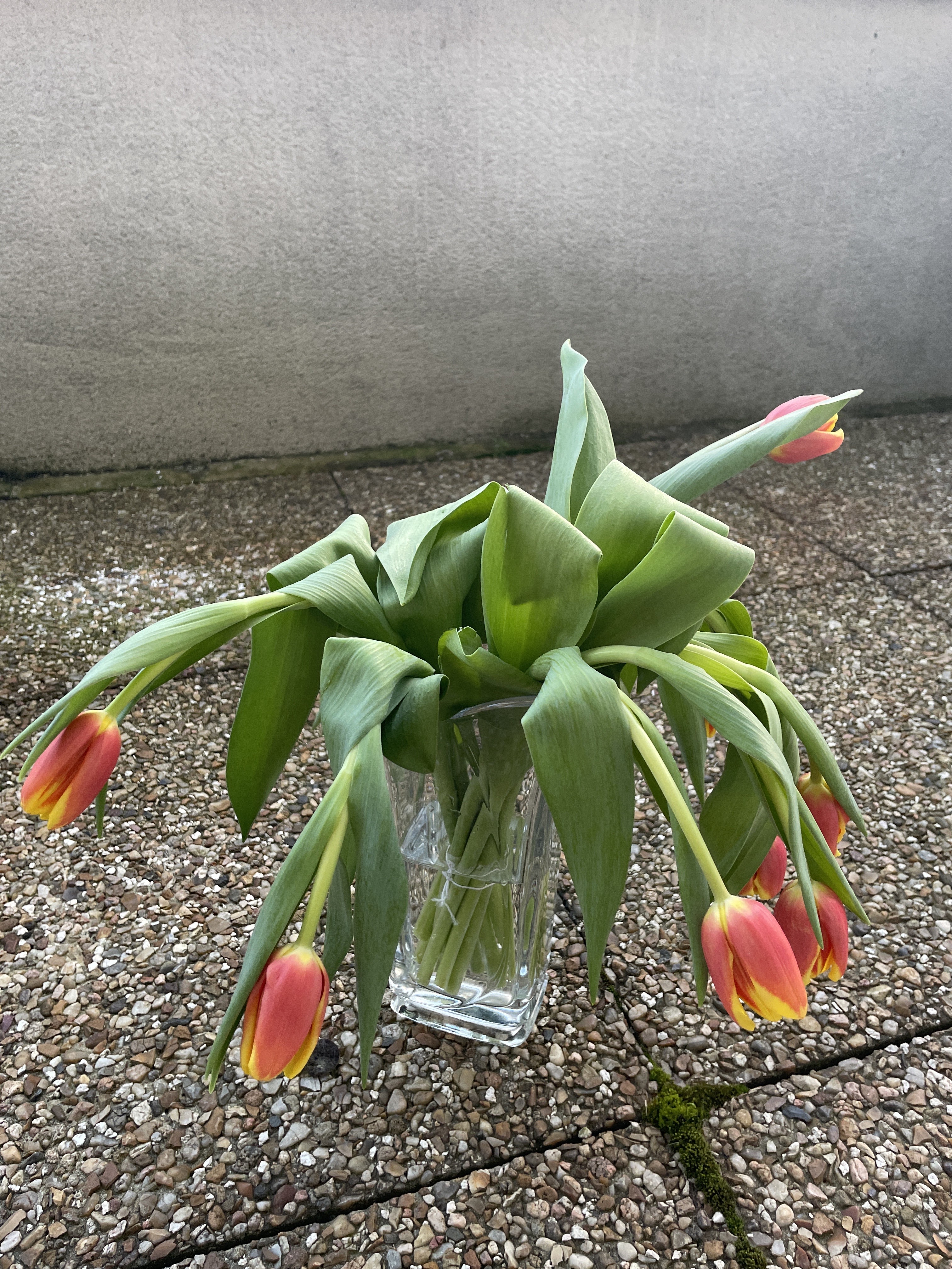 Photo n° 1 de l'avis de Cécile. fait le 07/03/2024 à 16:41