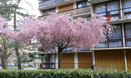 Photo n° 3 de l'avis de Doume.e fait le 27/02/2023 à 12:50