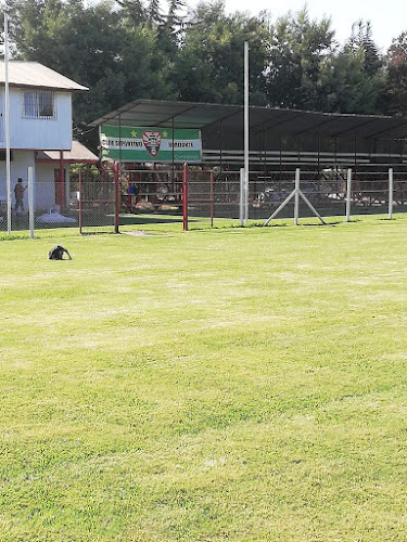 Opiniones de Estadio Horizonte en Chimbarongo - Campo de fútbol