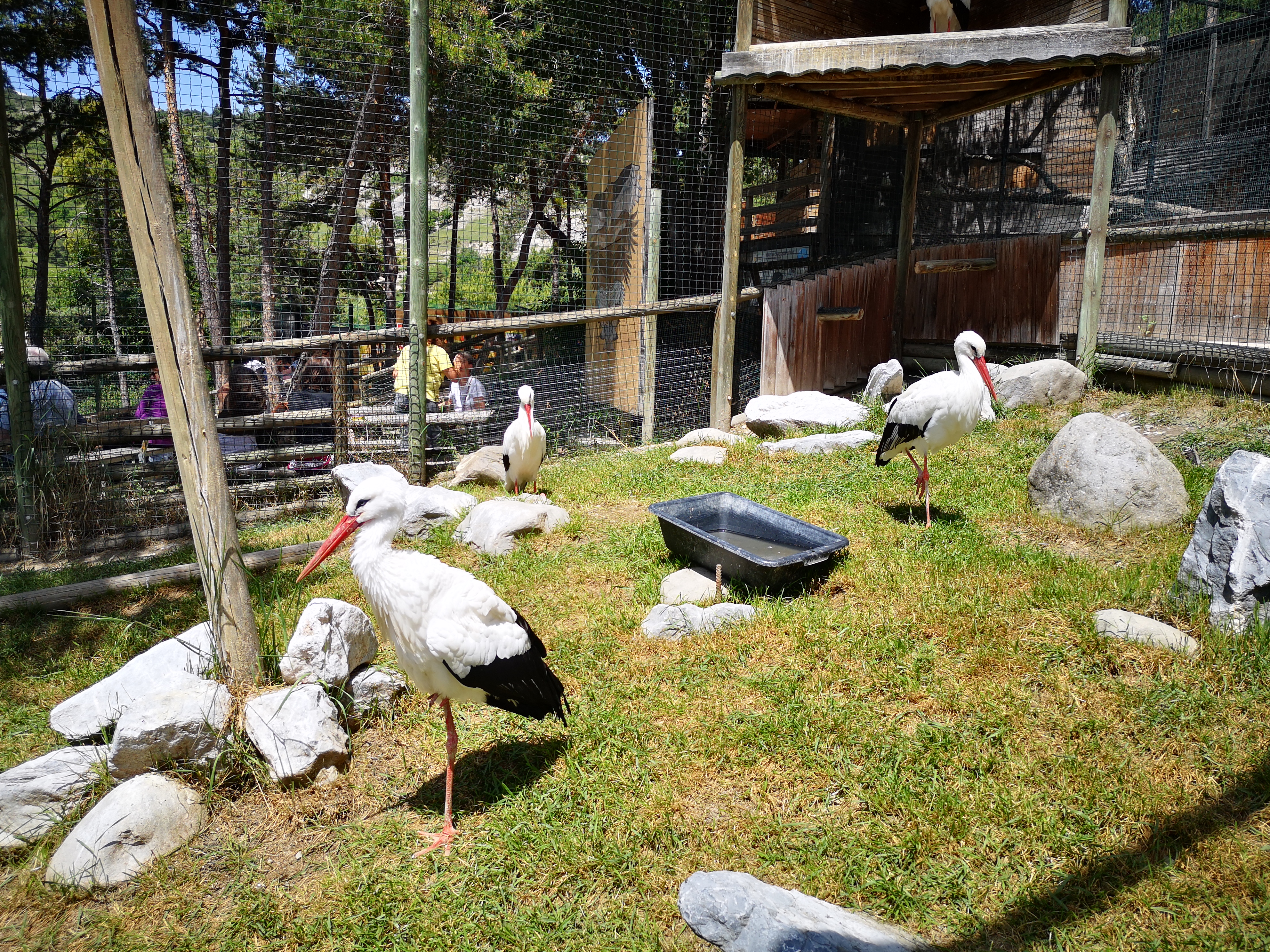 Photo n° 2 de l'avis de Jérome.a fait le 28/05/2022 à 13:53