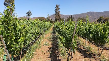 Attilio & Mochi, passionate winemakers / Vina Tunquen Limitada