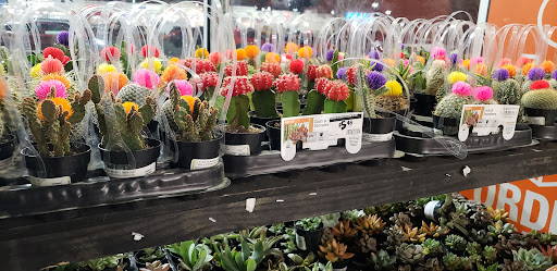 Home Improvement Store «The Home Depot», reviews and photos, 901 Rhode Island Ave NE, Washington, DC 20018, USA