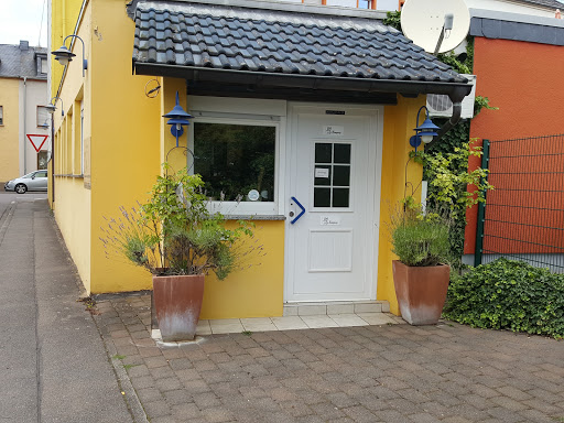 Tierarzt Dr. med. vet. Stefan Flöck Kleintierpraxis unter Konz, Rheinland-Pfalz