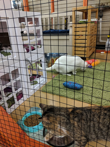 Pet Supply Store «Pet Supplies Plus», reviews and photos, 11054 Lee Hwy, Fairfax, VA 22030, USA